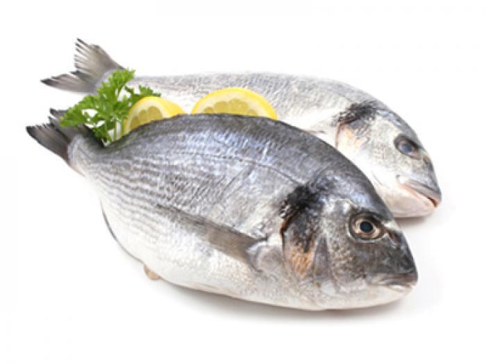 Dorada 1 receta de pescado